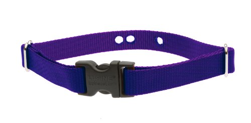 Lupinepet Basics 3/4' Purple 19-31' Containment Collar Strap For Extra Large Dogs