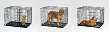 Medium Dog Crate | Midwest Life Stages 30' Folding Metal Divider Panel, Floor Protecting Feet, Plastic Tray 30L X 19W 21H Inches, Breed