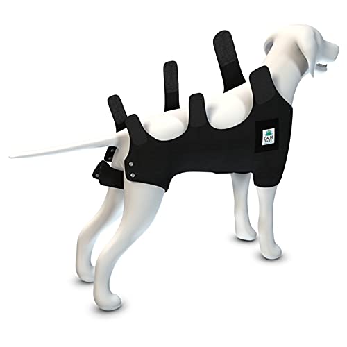 Calming Recovery Vest With Dog Calming Disc (X-Small)