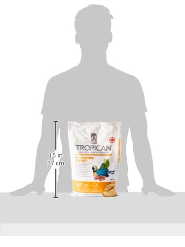 Hari Hagen Tropican Hand Feeding Parrot Food, 4.4 lb Baby Bird Food for Optimal Growth