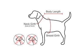 Authentic Puppia Vivien Harness, Purple, Medium