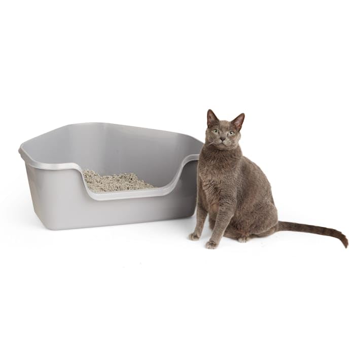 So Phresh High-Back Corner Grey Litter Box, 26.25' L X 21.5' W X 10' H