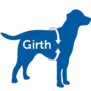 Fencemate Small Dog Harness With Attached Balls - Dog Collar To Prevent Escape (Medium) Fits Girth 19'-29'