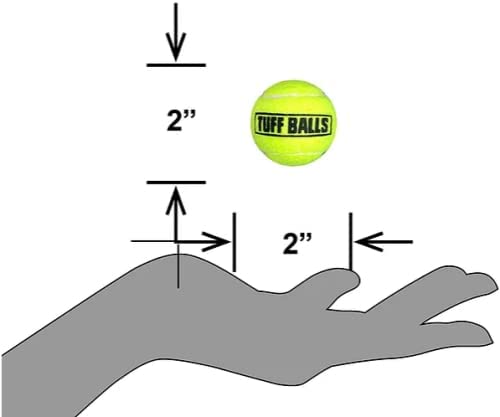 Petsport Yellow Tennis Ball Dog Toys | 2 Pack Mini (1.5'') Pet Safe Durable Felt & Rubber Tuff Balls For Small And Toy Breeds |