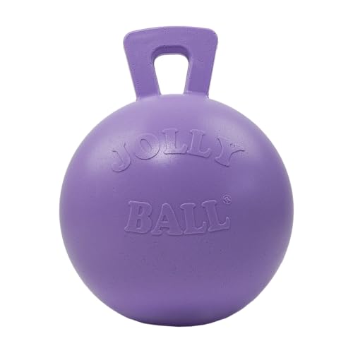 Jolly Pets Tug-n-Toss Heavy Duty Dog Toy Ball with Handle, 10 Inches/X-Large, Light Purple