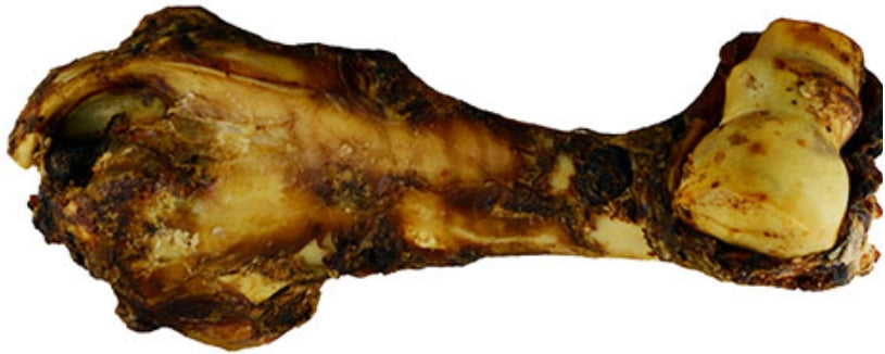 Bio Groom Natural Scents Pink Jasmine Dog Shampoo