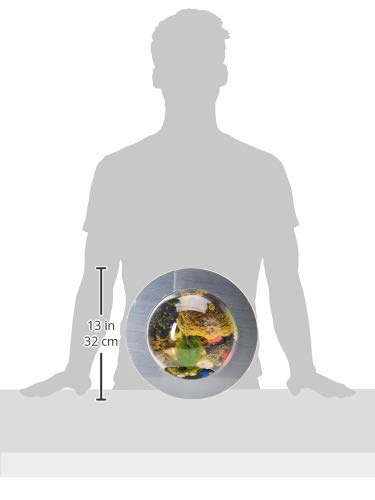 Fish Bubbles Brushed Aluminum Fish Bubble With Deluxe Wall Mounted Fish Tank