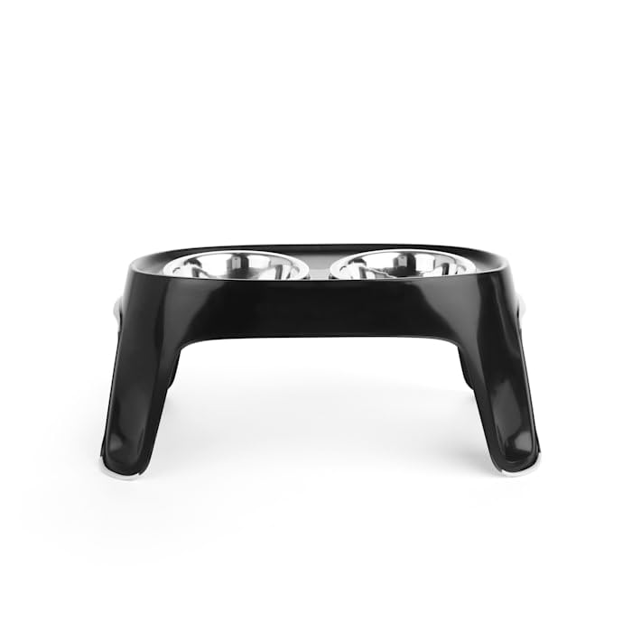 Everyyay Dining In Elevated Double Diner Dog Feeder, 4 Cups