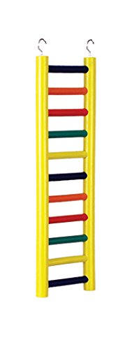Prevue Pet Products Bpv01138 Carpenter Creations Hardwood Bird Ladder With 11 Rungs, 18-Inch, Colors Vary