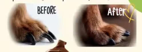 Dog Nail Scratch Board - with Treat Draw- Dog Scratch Pad for Nails - Durable Wooden Nail Filing Board with Treat Drawer