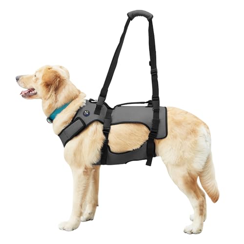 Coodeo Dog Lift Harness, Support & Recovery Sling, Pet Rehabilitation Lifts Vest Adjustable Breathable Straps for Old, Disabled,
