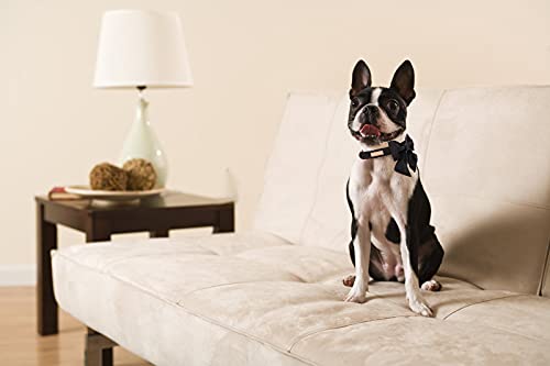 Unique Style Paws Silk Black Color Dog Collar Adjustable Durable Dog Collar With Bow Wedding Bow Tie Dog Collar For X-Small Puppy And Cats