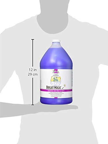 Top Performance Tp 64 Shampoo Gal Bright Magic