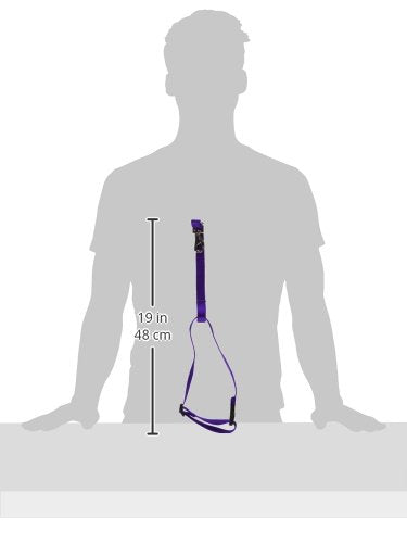 Lupinepet Basics 3/4'' Purple 16-26'' No Pull Harness For Small-Medium Dogs