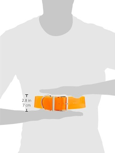 Omnipet Sunglo Regular Dog Collar, 2 X 27, Orange