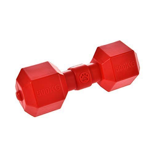 Black Dog (Upgrade New Version) 100% Durabledog Toys Interactive Floating Pool Type Water Play Rubber Dumbbell Toy For Dogs (Lar