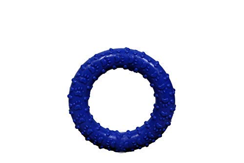 Pet Guard Rubber Round Ring Chew Toy For Dogs, Puppy Teething Toy Medium  4.5 Inch,Color Blue