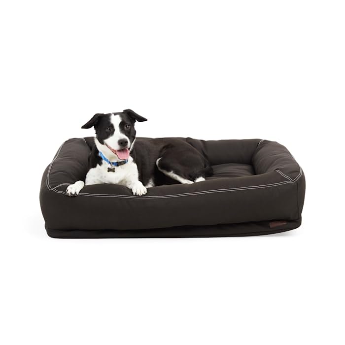 Reddy Indoor/Outdoor Dog Bed, Black Silicone, 40" L x 30" W, 8" Thick