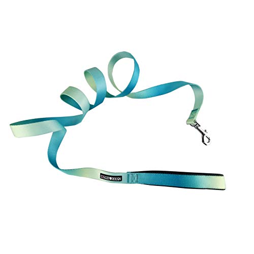 Doggie Design Ombre Leash (1 inch Wide x 6 feet Long, Aruba Blue)