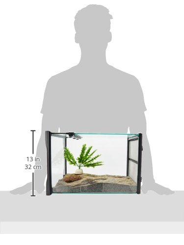 Exo Terra Rainforest Habitat Kit For Reptile, Glass (Includes Pt2602) - Small