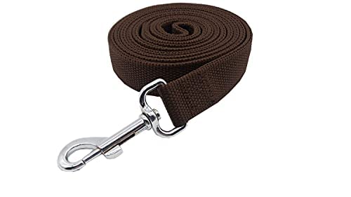 Strong Nylon Dog Leash With 2-Layer, 4 Ft/ 6 Feet Long, 1 Inch Wide For Medium Large Dogs (1'' X 5 Ft, Brown)