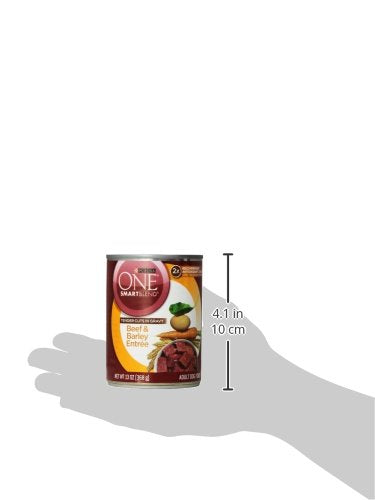 Purina ONE Natural Wet Dog Food Gravy, Tender Cuts in Gravy Beef and Barley Entr  e - 13 Ounce (Pack of 12)