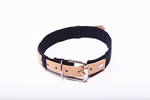 Orange Blinks What Daddy Gives Collection Collar, Small, Dark Blue/Nude