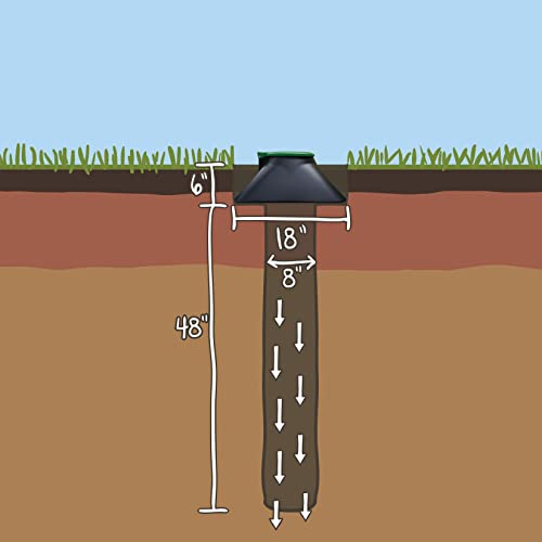 Doggie Dooley Original In-Ground Dog Waste Disposal System, Black with Green Lid - Capacity for 2 Large or 4 Small Dogs
