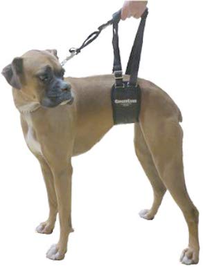 GINGERLEAD Dog Sling Support Harness, SM Female fits Small to Medium Size Pets or Larger Barrel Chested Dogs Like Boxers or Bull