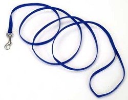 Coastal Pet Single Nylon Lead Blue