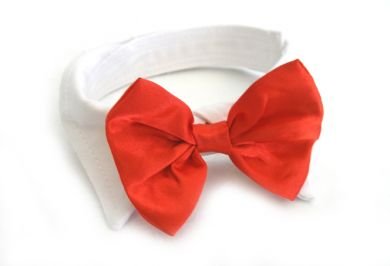 Red Satin Bowtie Collar - Size Small