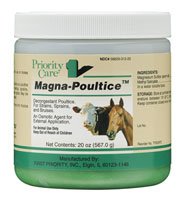 MAGNAPOULTICE 20OZ