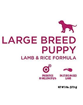Diamond Naturals Large Breed Puppy Real Lamb Recipe Premium Dry Dog Food, 6 lb