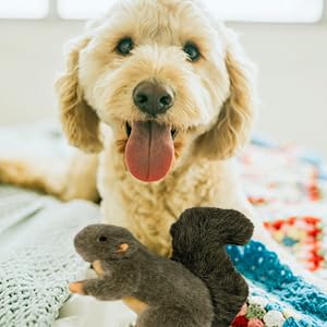 All For Paws Classic Squirrel Pet Toys, Small