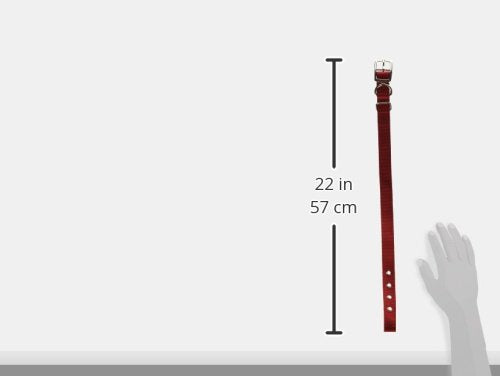 Hamilton Double Thick Nylon Deluxe Dog Collar, 1-Inch By 22-Inch, Red
