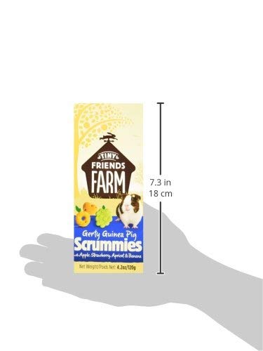 SPR 4.2OZ GP SCRUMMIE APP/STR/AP/B