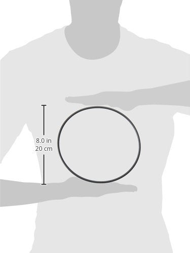 (2 Pack) Fluval Motor Seal Ring F/304, 404