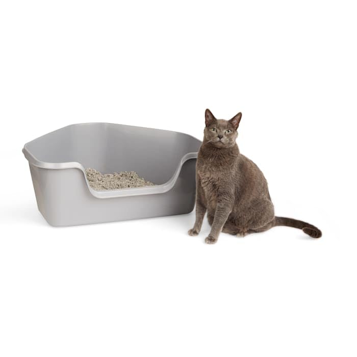 So Phresh High-Back Corner Grey Litter Box, 26.25' L X 21.5' W X 10' H