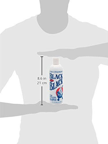 Chris Christensen Pet Shampoo, 16 Oz Black On Black Color Revitalizing Shampoo, Groom Like A Professional, Restores Black Coats, Not A Dye, Lasts Up To 4 Weeks, Made In The Usa