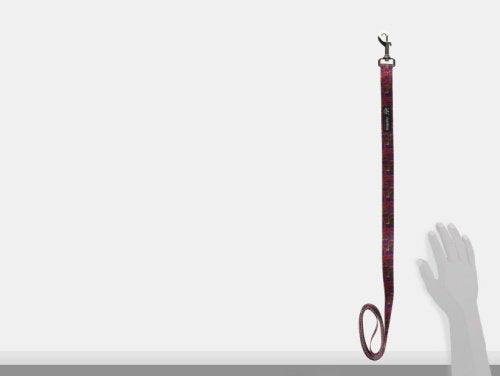 Dutch Dog Amsterdam Eco Friendly Van Heemskerck Fashion Dog Leash, 5-Feet