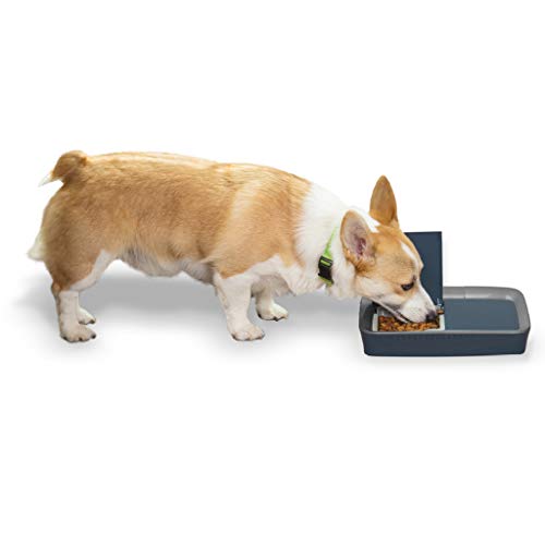 Petsafe Digital 2 Meal Programmable Pet Feeder, Automatic Dog And Cat Feeder - Dry Or Semi-Moist Pet Food Dispenser, Slow Feed P