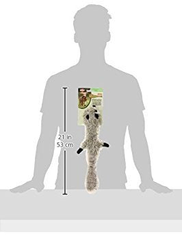Spot Mini Skinneeez | Stuffless Dog Toy With Squeaker For All Dogs | Tug-Of-War Toy For Small And Large Breeds | 14'' | Raccoon