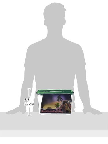 Lee'S Hermit Crab Hideaway Kit, Medium, Colors May Vary