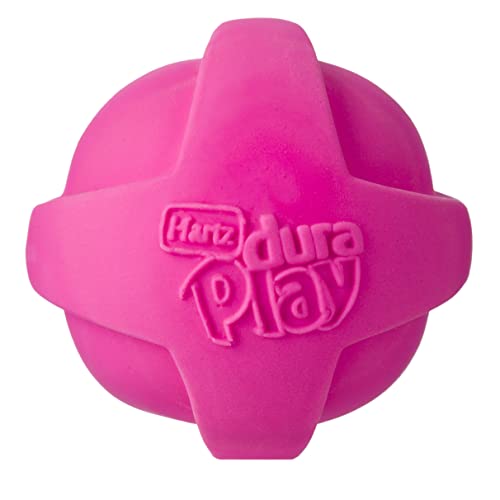 Hartz DuraPlay Bacon Scented Dog Toy, Small, Assorted Color, Plastic, Model 3270099394