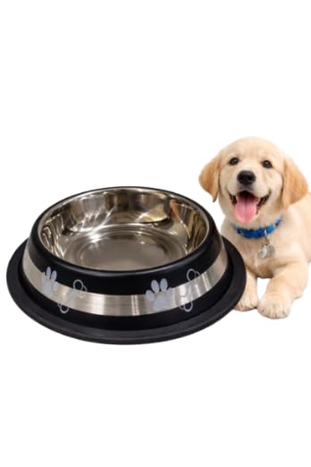 Stainless Steel Pet Bowl With NonSlip Rubber Base