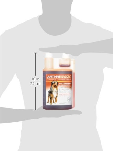 ArthriMaxx Dog Joint Supplement with MSM, Chondroitin & Glucosamine, 32 fl oz - Liquid Formula for Joint Inflammation & Arthritis Care