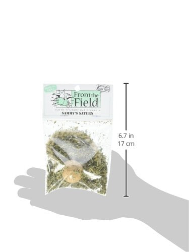 From The Field Sammy'S Saturn Catnip Toy