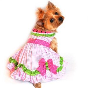 Doggie Design Watermelon Dog Dress L