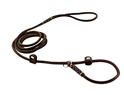 Real Leather Slip Dog Leash For Small Medium Dogs Lightweight Thin But Sturdy Adjustable Slip Lead Dog Leash Soft And Slim 5 Ft X 1/5 Inch
