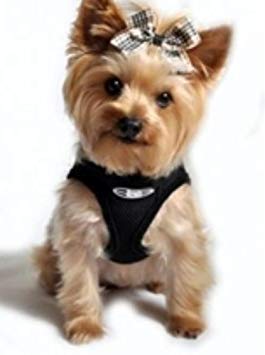 DOGGIE DESIGN American River Ultra Choke-Free Harness (Pink, Small (Chest 13-16 Weight 6-11 Lbs))